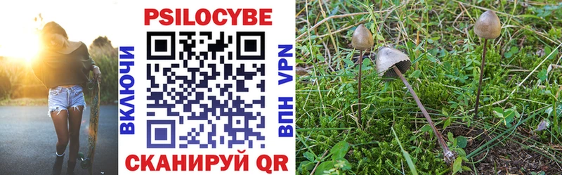 Галлюциногенные грибы Psilocybine cubensis  МЕГА как войти  Железногорск  купить  